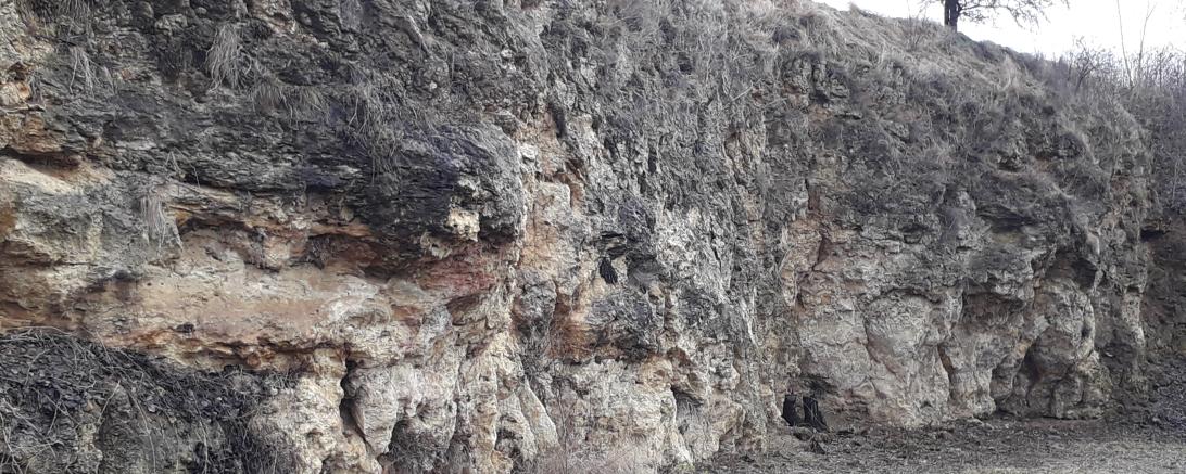 Ries-See-Kalke am Burschel