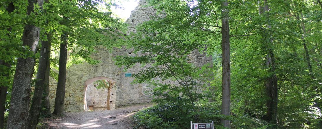 Burgruine Steinhart