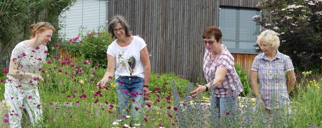Doris Leupold (v. re.), Rosa Schreiber, Maria Dunz und Martina Oswald vom Gartenbau-Verein Tagmersheim-Blossenau  freuen sich, dass ihr Projekt bei der Bayerischen Vielfaltsmeisterschaft im Finale steht.