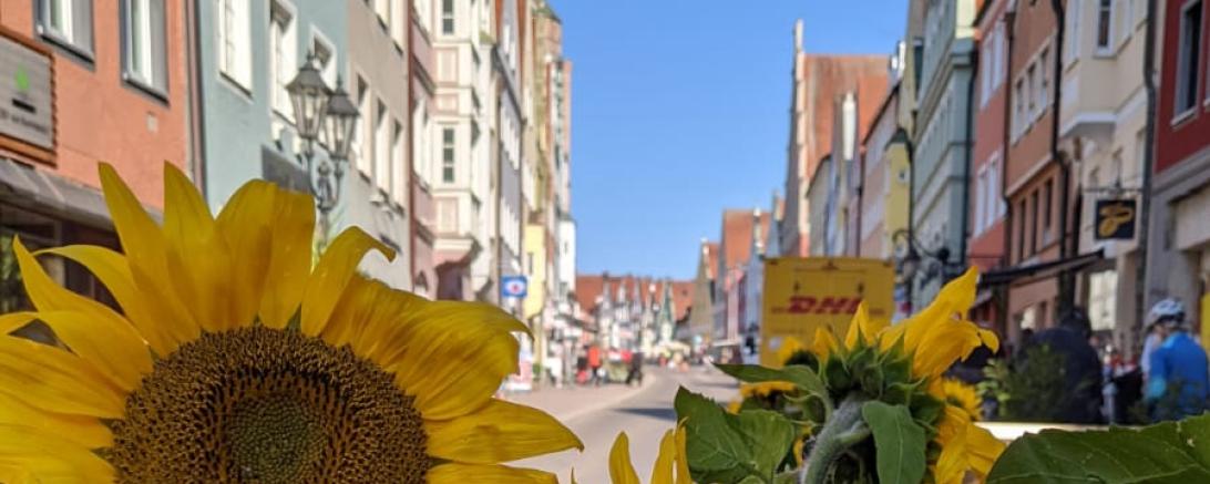 Bild aus der Reichsstraße.