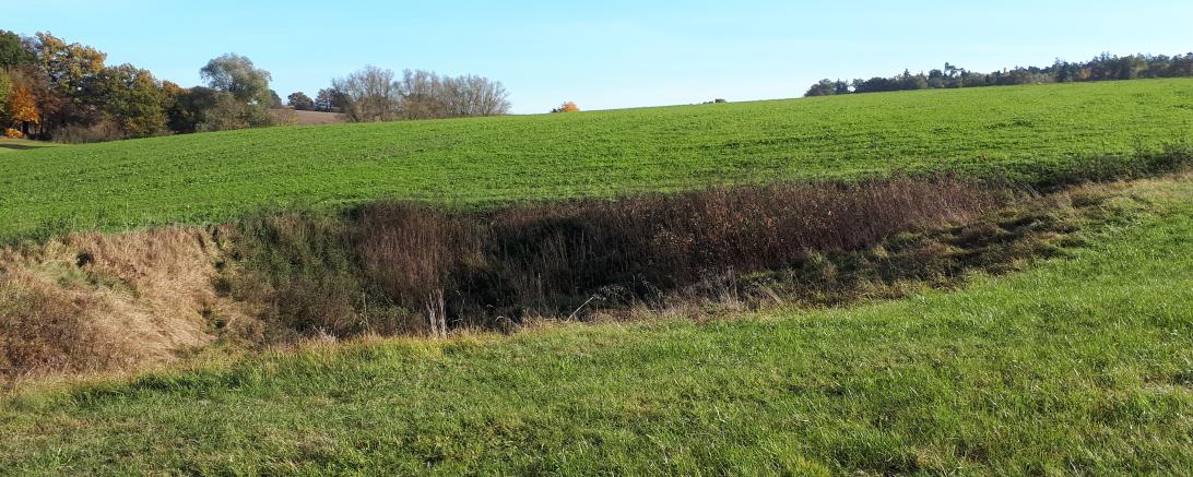 Geoparkführerin Ursula Kneißl-Eder lädt am Sonntag, 4. September um 14 Uhr zu einer Wanderung auf dem Dolinenlehrpfad ein.