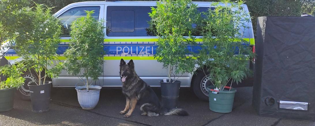 Durchsuchung KPI Dillingen