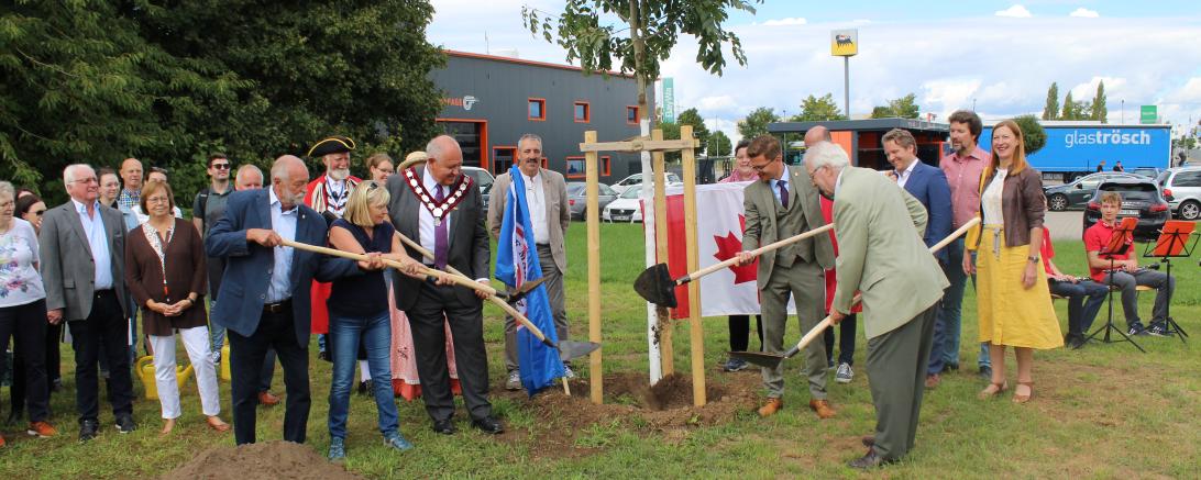 Gemeinsam wurde der neue Freundschaftsbaum anlässlich des 20-jährigen Bestehens der Städtepartnerschaft zwischen Nördlingen und Markham "gepflanzt". 