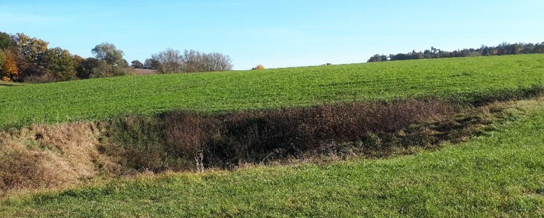 Doline bei Tagmersheim