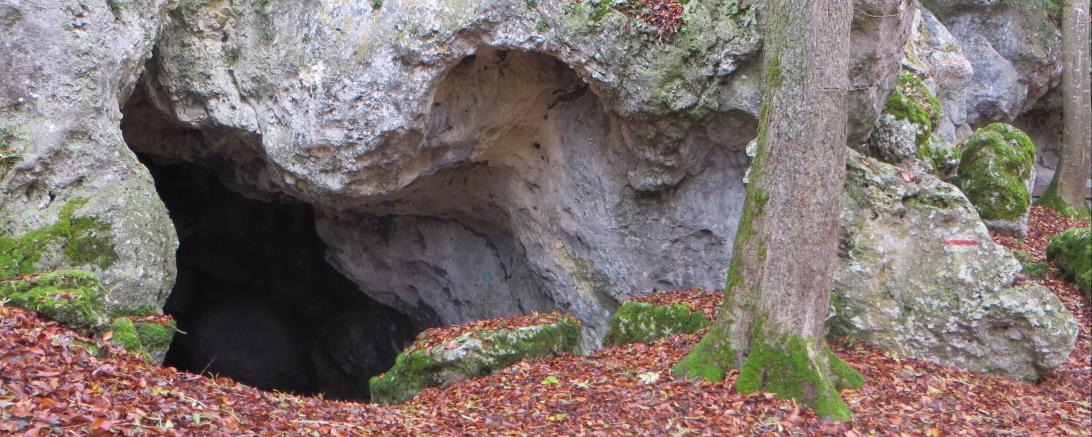Hohlensteinhöhle im Stiftungswald Nördlingen