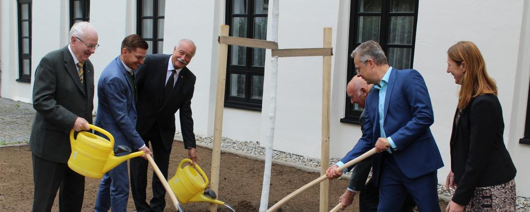Freundschaftsbaum Nördlingen Stollberg