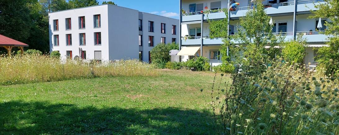 Die AWO Schwaben geht gezielt den Klimaschutz und andere wichtige Themen an. Zu den Maßnahmen gehören zum Beispiel das Anlegen von Blühwiesen, wie etwa am AWO-Seniorenheim in Augsburg-Göggingen. Diese bieten heimischen Pflanzen und Bienen eine Heimat. 