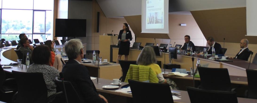 Das Bild zeigt das Lenkungsgremium Regionalmanagement 2022 bei einer Sitzung.