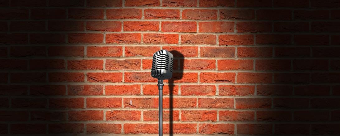 Das Bild zeigt ein Mikrofon