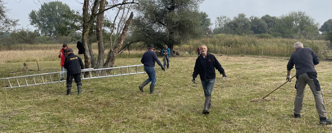 Schilf aufhäufen, Totholz sägen, Nistkästen anbringen – diesen wichtigen Aufgaben widmeten sich 17 Mitglieder des Lions-Clubs Donauwörth im Osterried. Beim traditionellen, ehrenamtlichen Einsatz half auch der frühere Naturschutzbetreuer des Landkreises Donau-Ries, Roland Scholz (Mitte). 