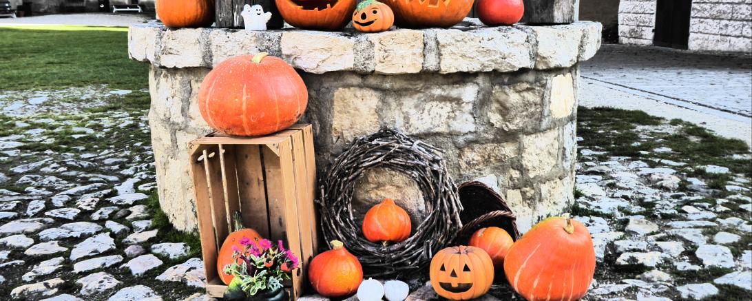 Rübengeister Kürbislichterführungen im Schloss Harburg.