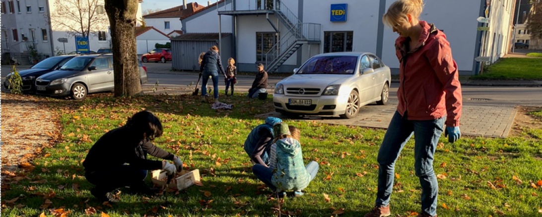 Frühjahresblüten für Oettingen