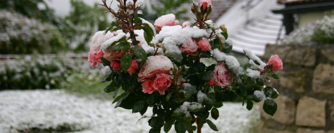 Start in den Winter.