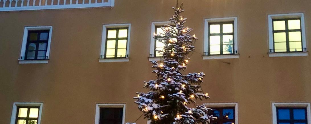 Christbaum der Stadt Donauwörth 2022.