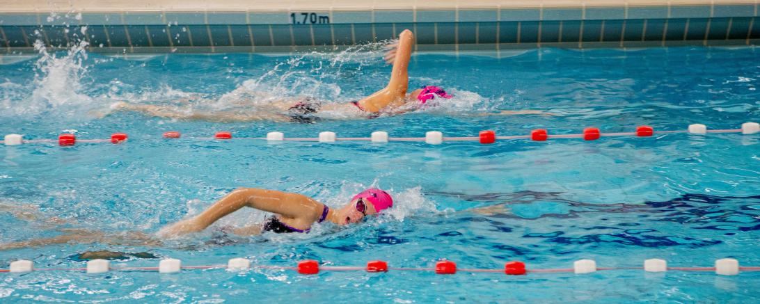 Das 24. Weihnachtsschwimmen des TSV Harburg.