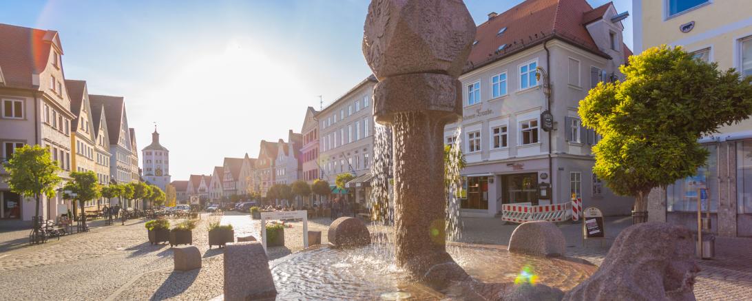 Blick auf Günzburgs historische Altstadt