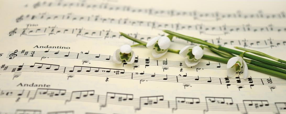 Musiknoten