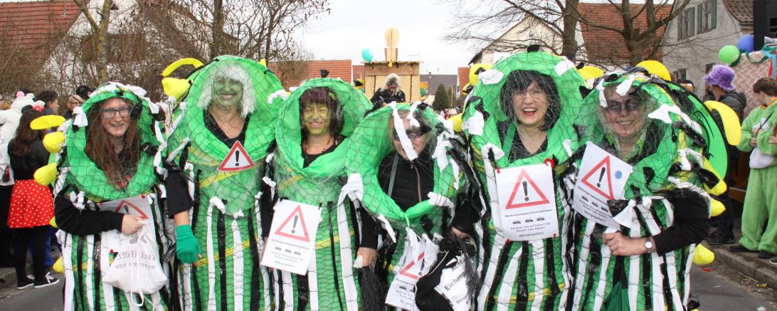 Lauterbacher Faschingsumzug