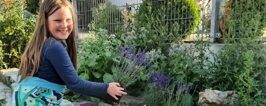 In diesem Monheimer Garten entsteht ein Staudenbeet für hungrige Insekten. 