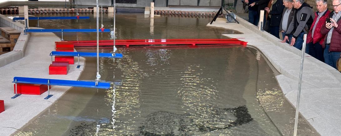 Das Bild zeigt das Model der Donau bei Donauwörth.