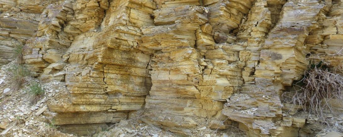 Auf dem Geotoplehrpfad Daiting die Plattenkalke erlebt werden
