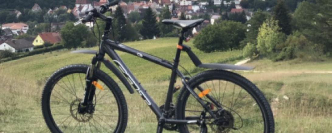 Das gestohlene Fahrrad der Marke Felt.