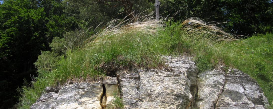 Der Finkenstein nahe Neuburg.