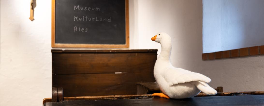 Gans Marie in der Dauerausstellung des Museum KulturLand Ries.