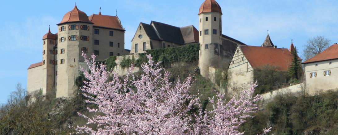Schloss Harburg