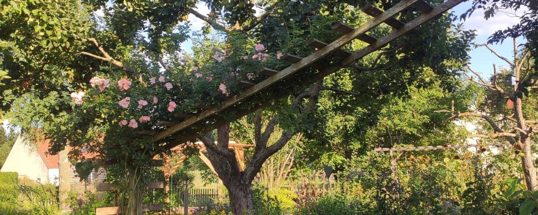 Der Garten in Möttingen ist seit 2022 als Naturgarten ausgezeichnet.