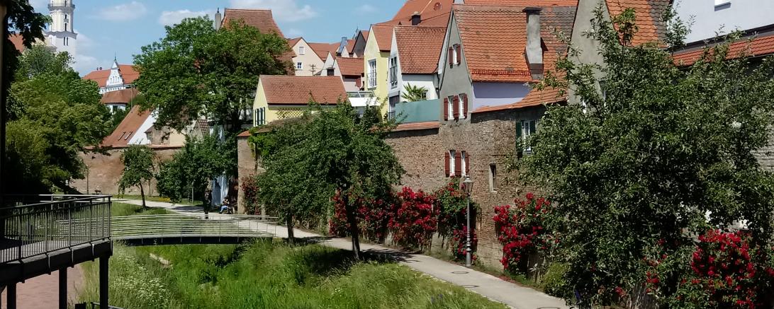 Die Obstbäume im Ried bieten Lebensraum für Tiere.