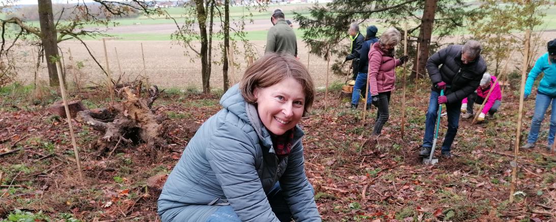 Schon im November 2022 pflanzte die Rainer CSU mit der Ortsvorsitzenden Claudia Marb Bäume im Rainer Stadtwald. 