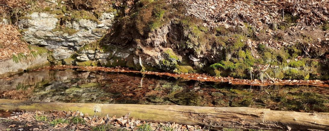 Die Schwalbquelle bei der Mittelmühle.