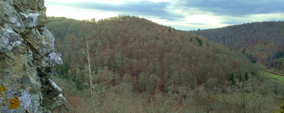Das Plateau des Weiherbergs bei Christgarten war bereits in der Bronzezeit besiedelt.