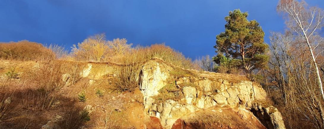 Eine Autoexkursion in die Geotope Aumühle und Burschel Hainsfarth.