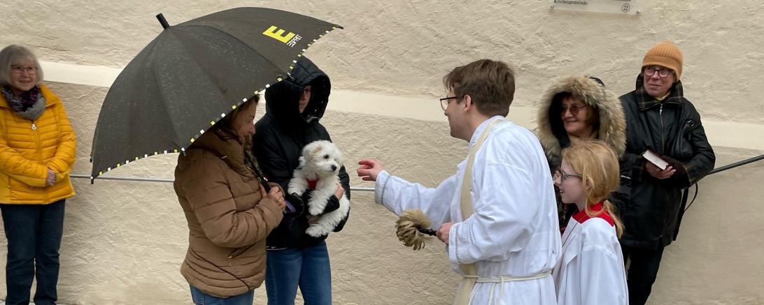 Haustiersegnung auf dem Salvatorplatz.