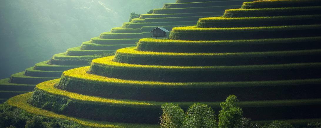 Symbolbild für Kambodscha