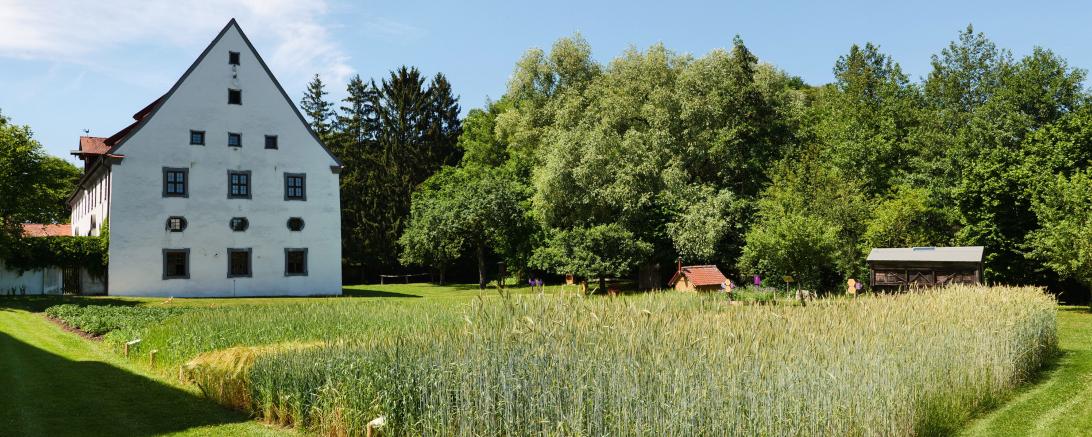 Blick in den Museumsgarten.