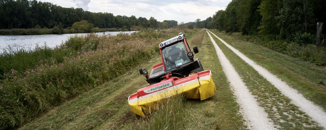 Mäharbeiten an der Donau.
