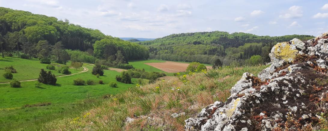 Blick ins Kohlebachtal.
