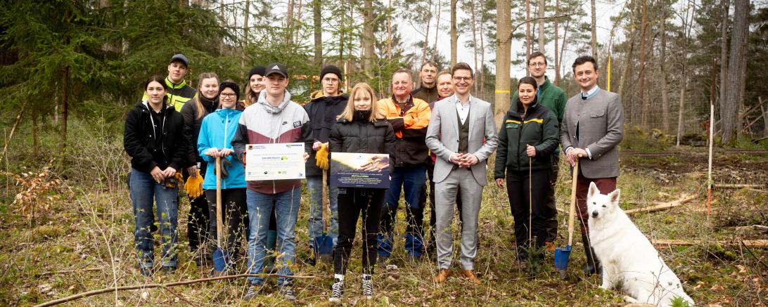 Destilla Baumplanzaktion