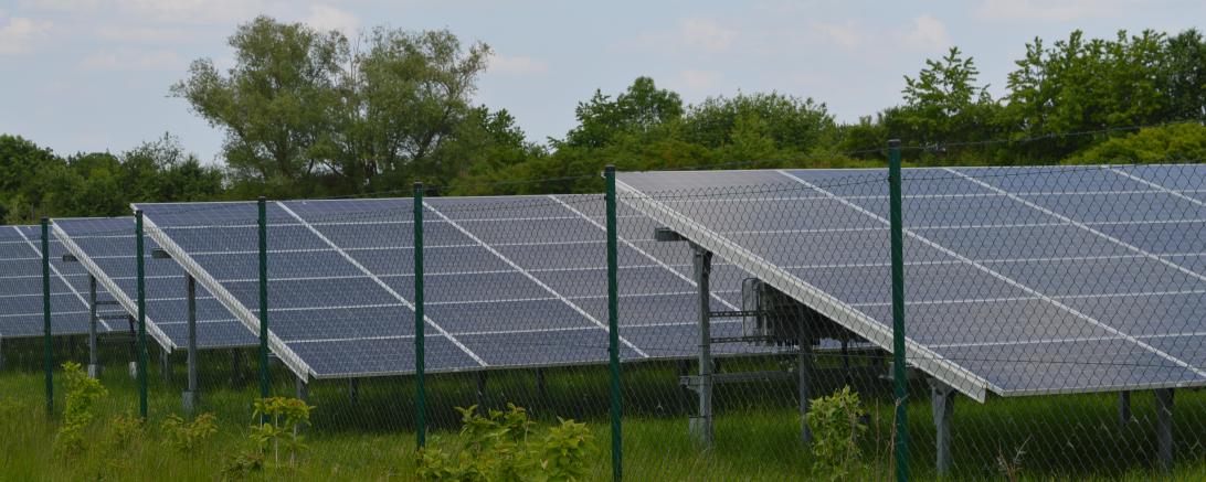 Das Bild zeigt eine Freiflächen-Photovoltaik bei Birkhausen. 