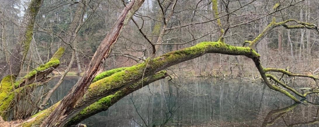 Bild von Karl-Heinz John