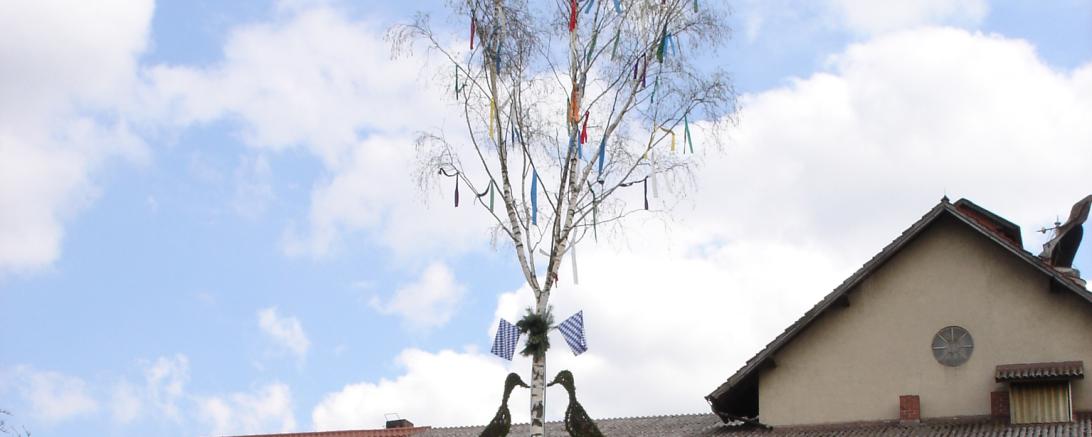 Der traditionelle Maibaum in Mönchsdeggingen.
