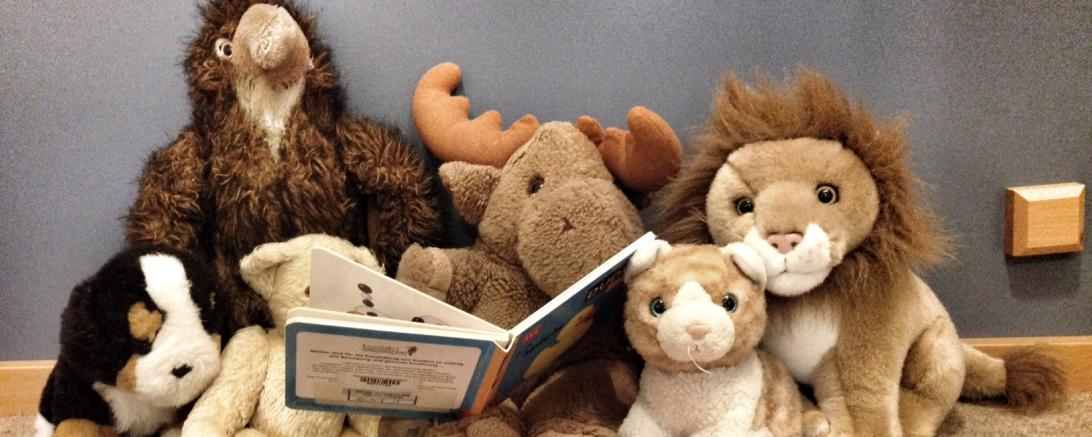 Das Bild zeigt Kuscheltiere