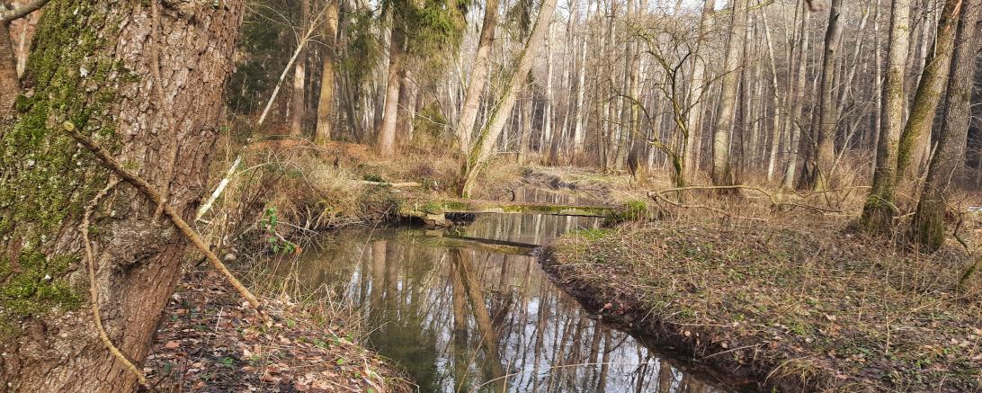 Der Bettelsteg im Schwalbtal