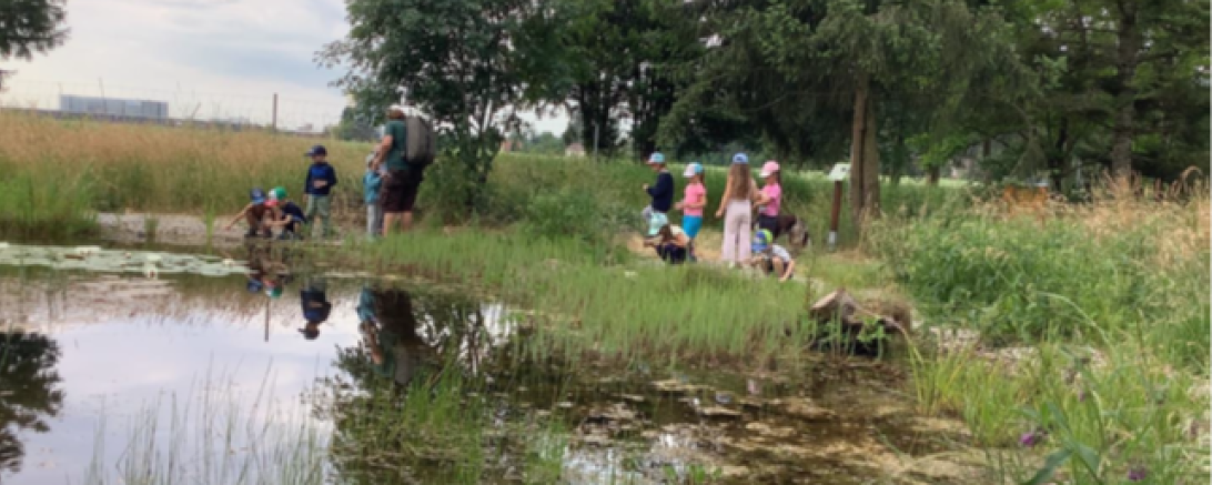 Bild von der Exkursion auf dem Vereinsgelände der Naturfreunde Gersthofen