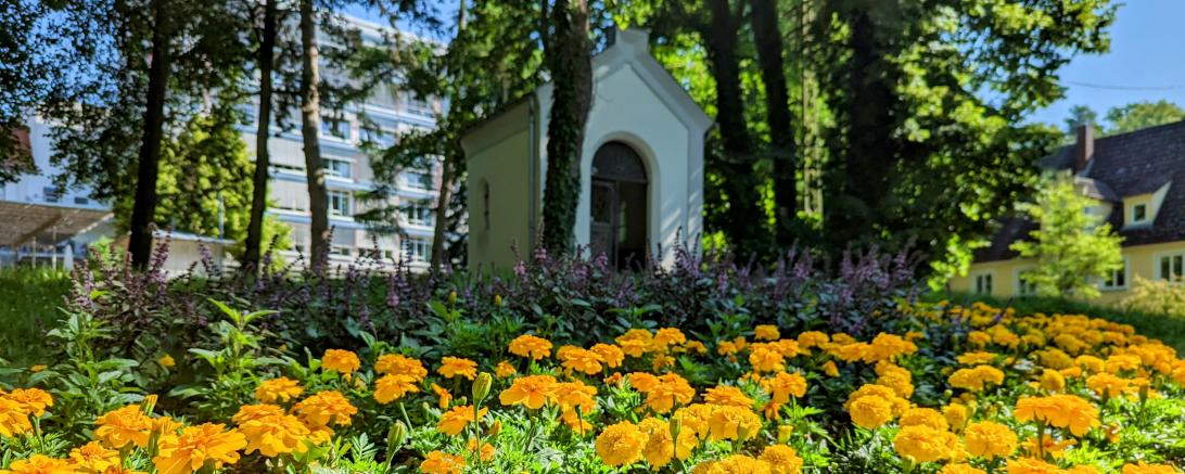 Blumenbeet Promenade Donauwörth