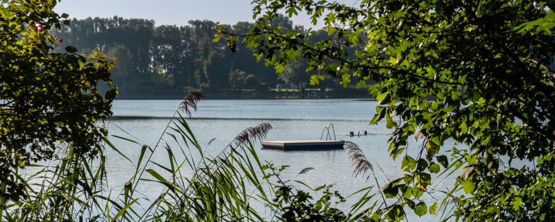 Baggersee Riedlingen