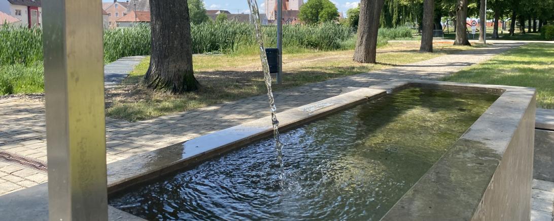 Bild vom neuen Handkneippbecken nahe des Wasserhauses